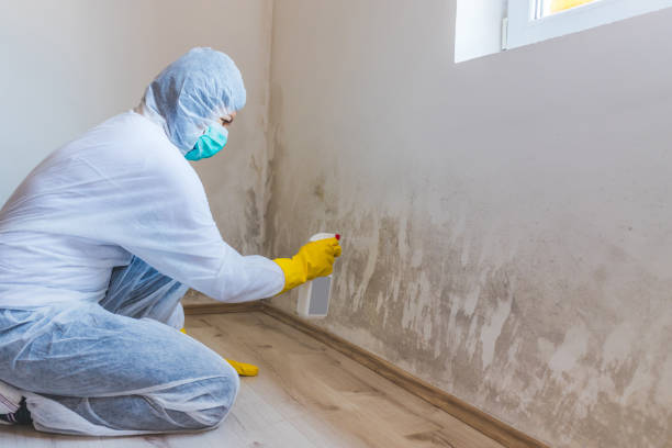 Mold Remediation specialist working in Zieglerville