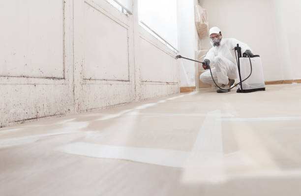 Black mold remediation team in Zieglerville